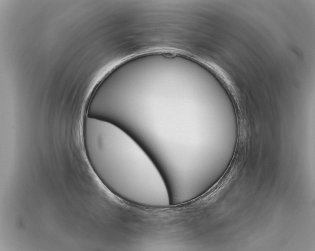 X0000115690910200911121005