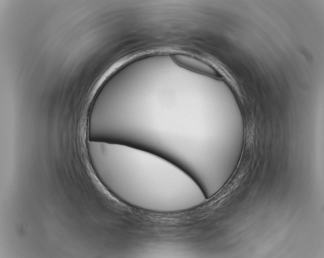 X0000115690911200911121005