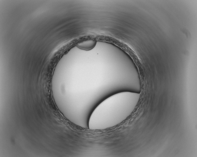 X0000115690919200911121004