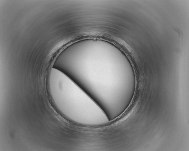 X0000115690922200911121004