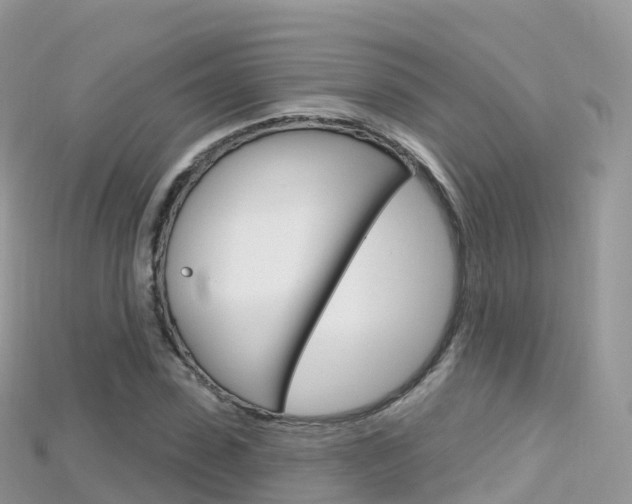 X0000115690923200911121004