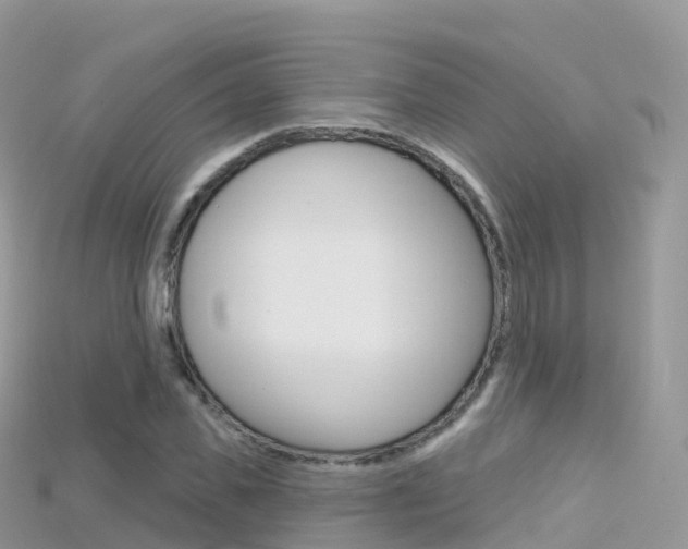 X0000115690925200911121004