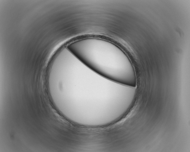 X0000115690926200911121004