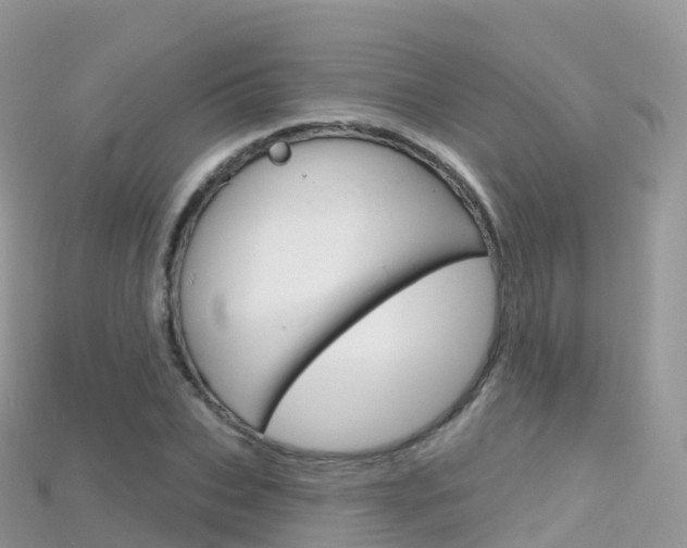 X0000115690927200911121004