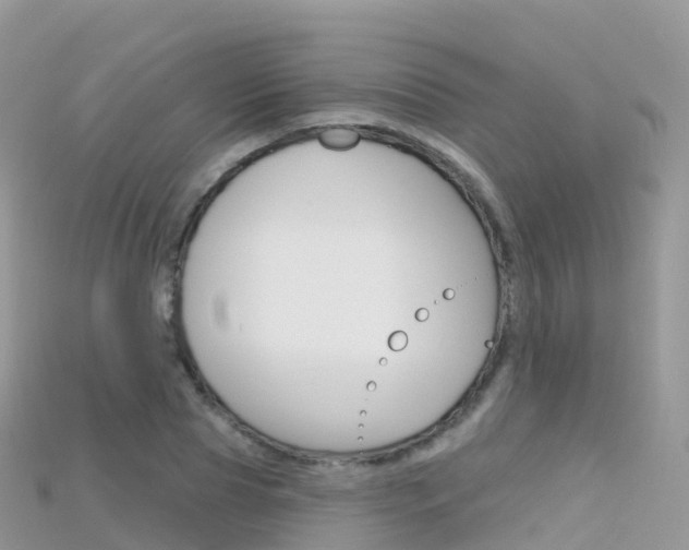 X0000115690929200911121004