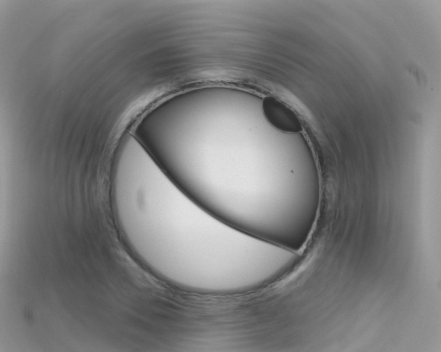 X0000115690930200911121004