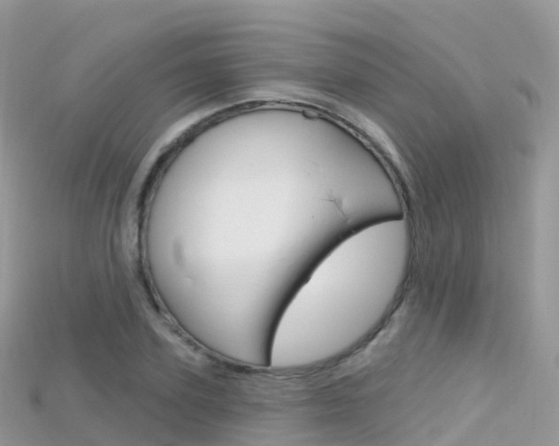 X0000115690931200911121004