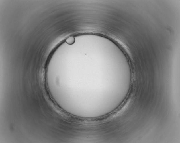 X0000115690933200911121004