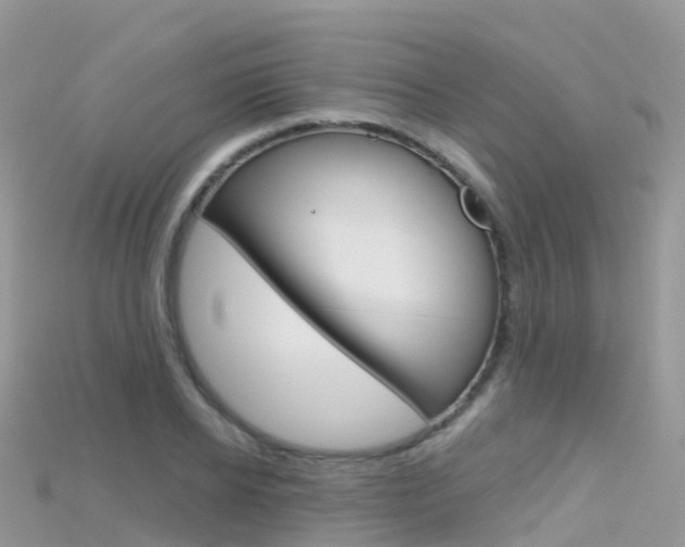 X0000115690934200911121004