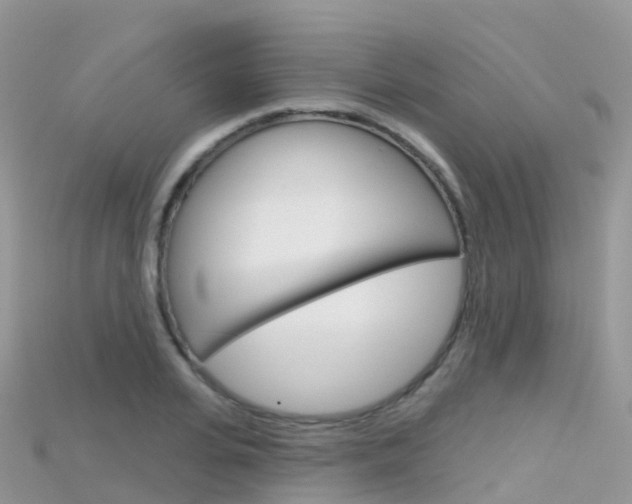 X0000115690935200911121004