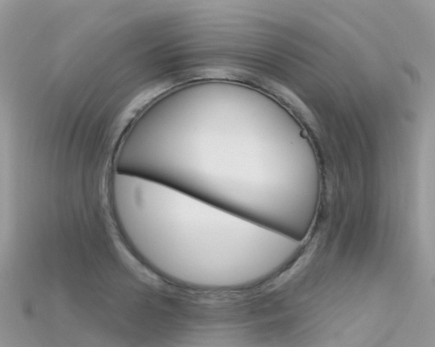 X0000115690938200911121004