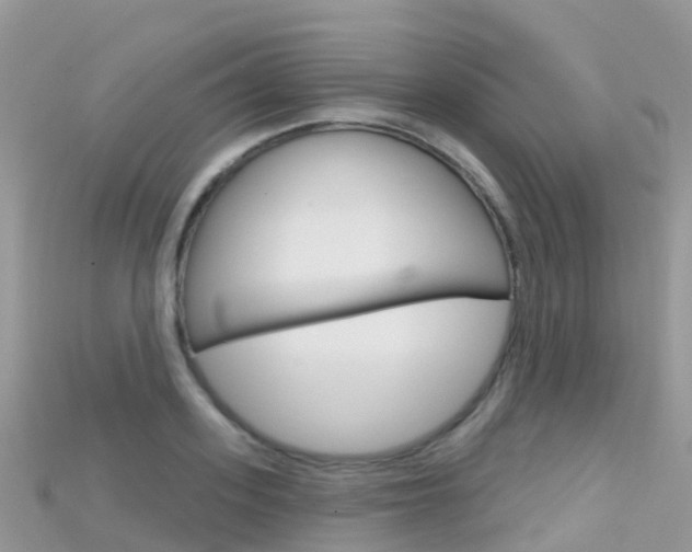 X0000115690939200911121004