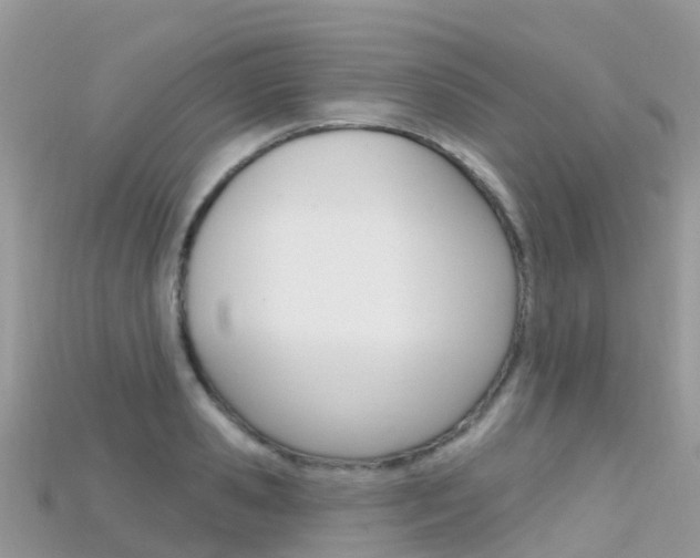 X0000115690941200911121004