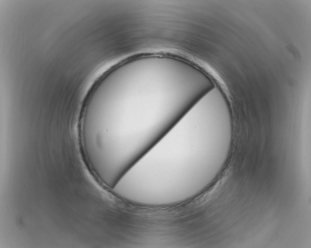 X0000115690943200911121004