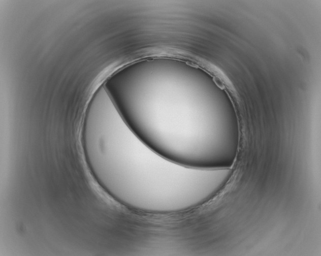 X0000115690946200911121005