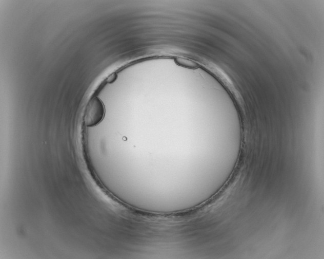 X0000115690947200911121005