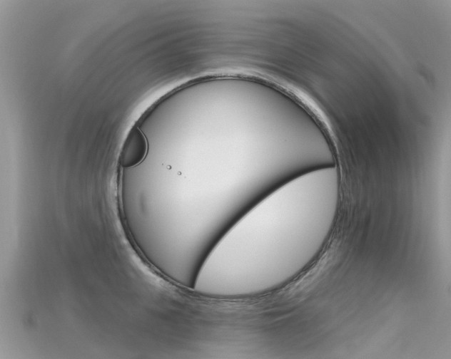 X0000115690951200911121005