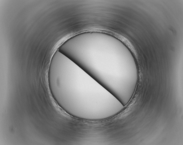 X0000115690954200911121005