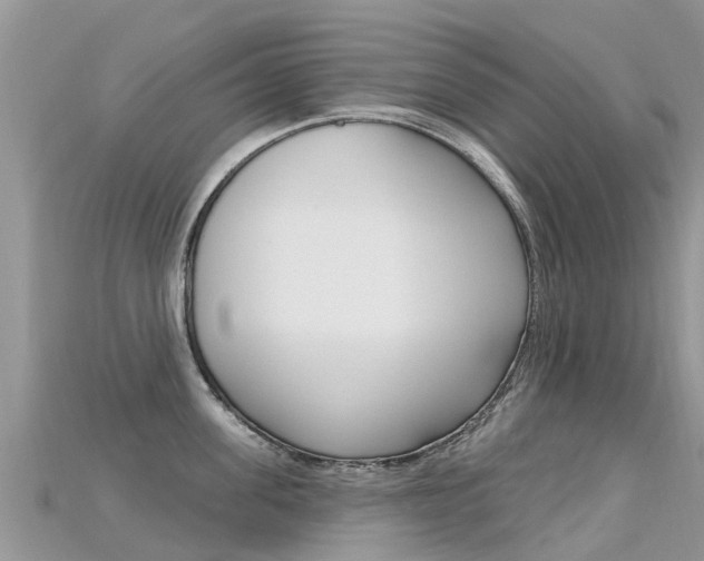 X0000115690955200911121005