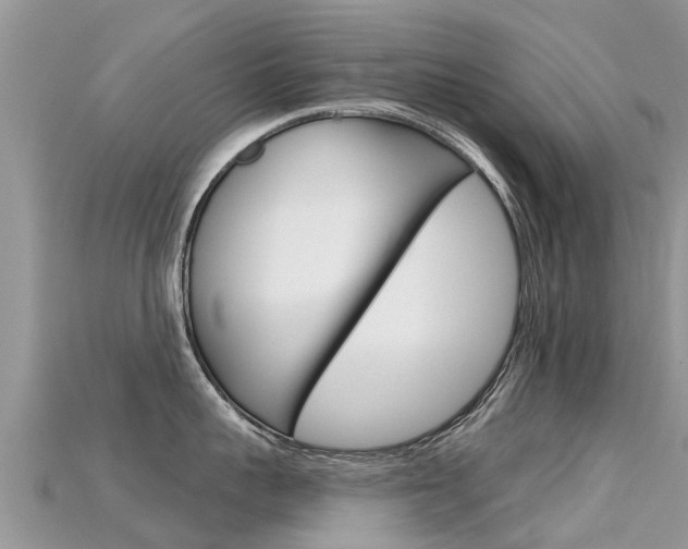 X0000115690959200911121005