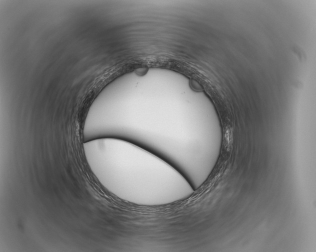 X0000115690963200911121004