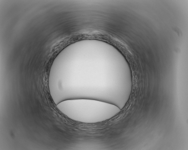 X0000115690966200911121004