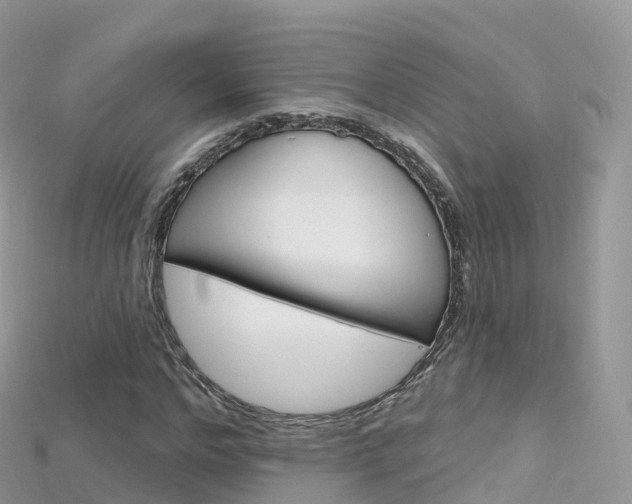 X0000115690968200911121004
