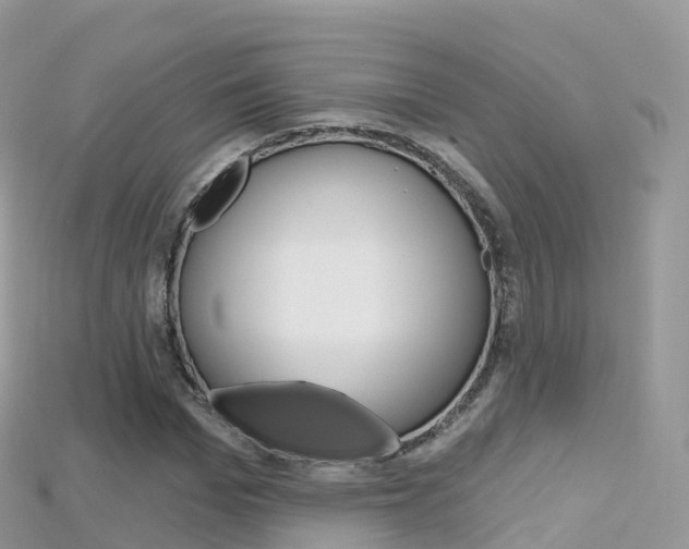 X0000115690969200911121004