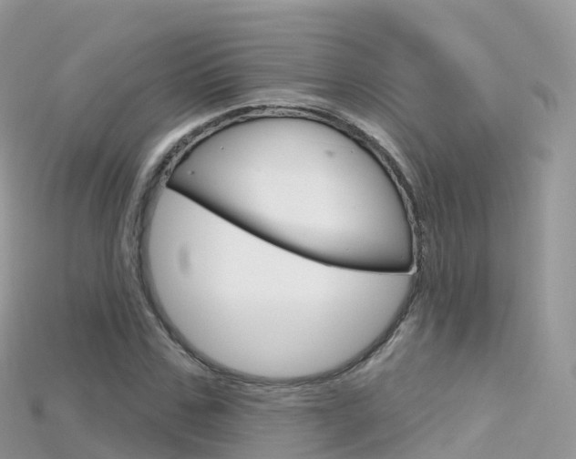 X0000115690971200911121004