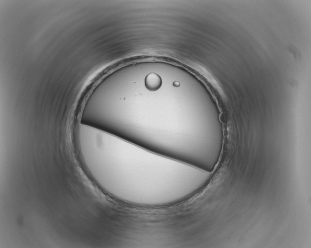 X0000115690972200911121004