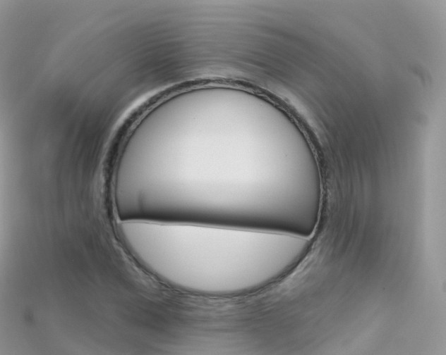 X0000115690975200911121004