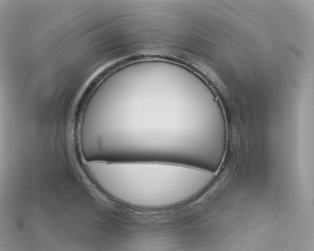 X0000115690976200911121004