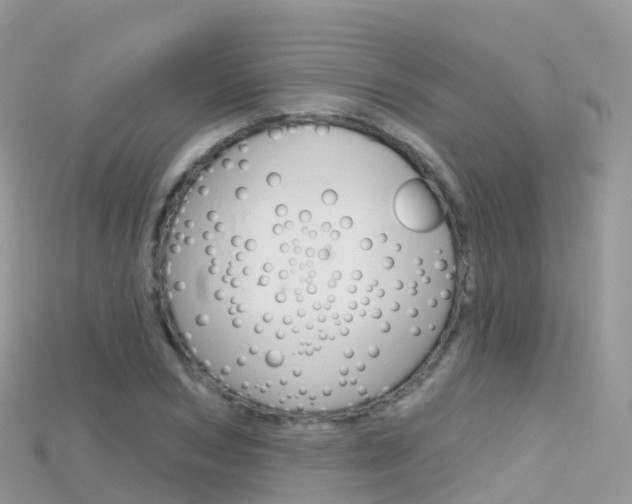 X0000115690978200911121004