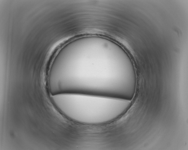 X0000115690979200911121004