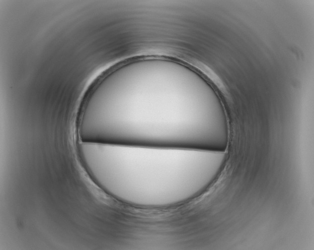 X0000115690980200911121004