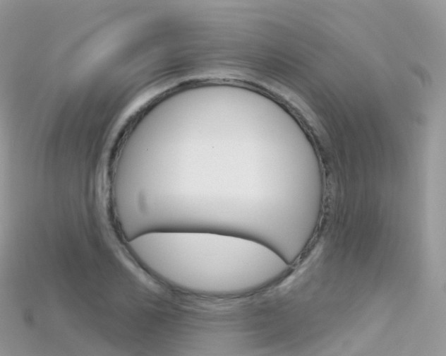 X0000115690982200911121004