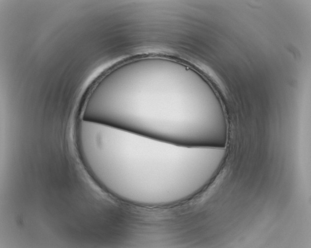 X0000115690983200911121004