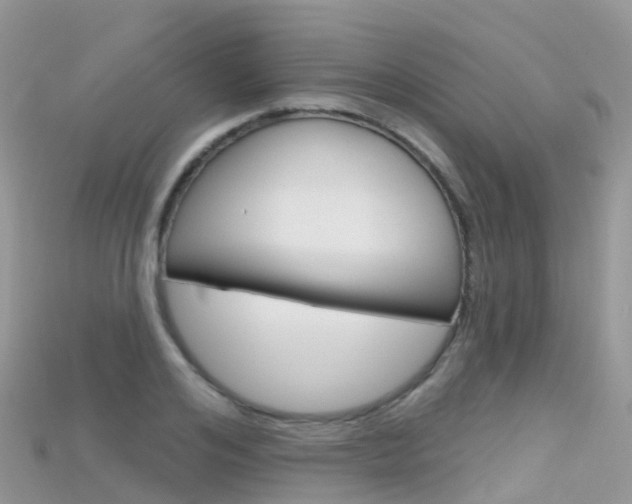 X0000115690984200911121004
