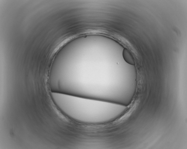 X0000115690985200911121004