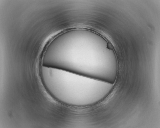 X0000115690987200911121004