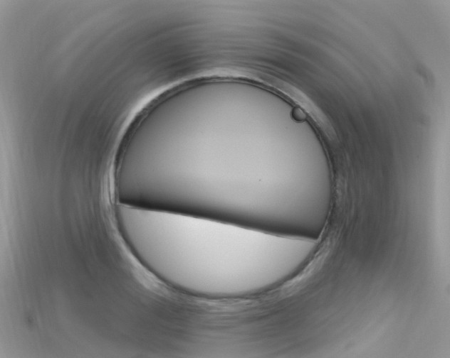 X0000115690988200911121004