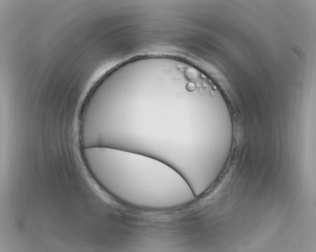 X0000115690990200911121004