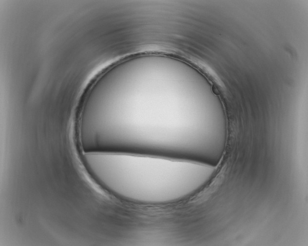 X0000115690991200911121004
