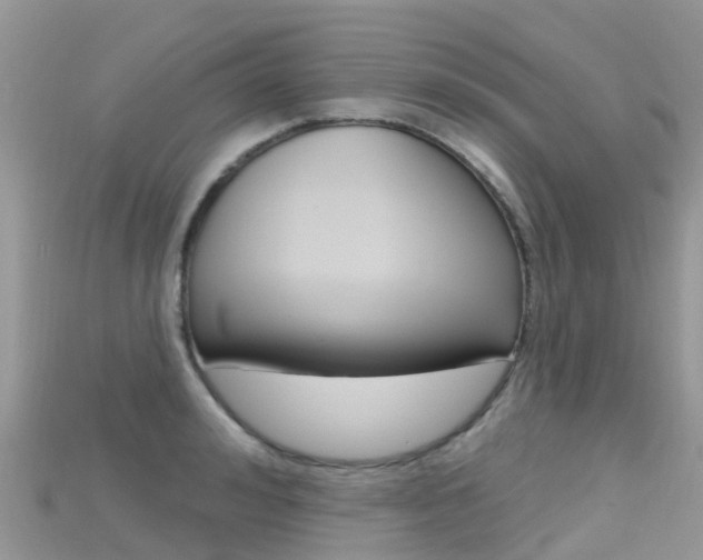 X0000115690992200911121004