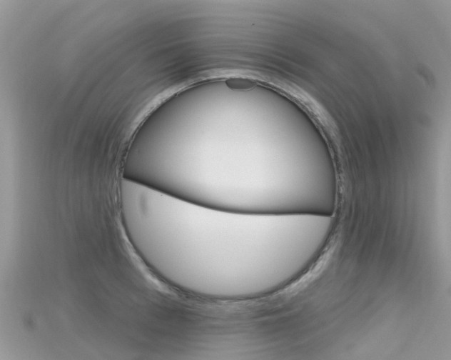 X0000115690993200911121004