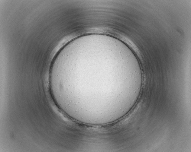 X0000115690994200911121004