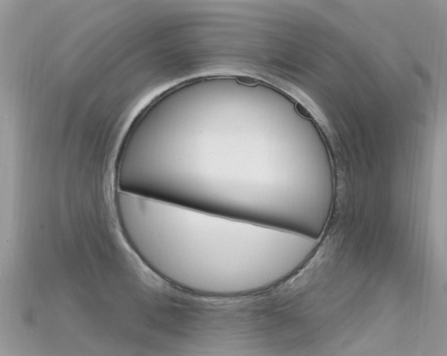 X0000115690996200911121004