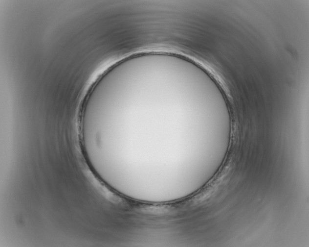 X0000115690998200911121004