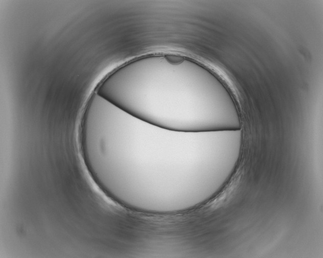 X0000115690999200911121004