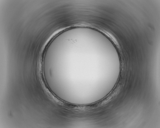 X0000115691000200911121004